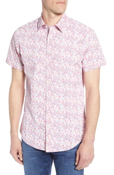Shop Rodd & Gunn Lake Roxburgh Regular Fit Floral Short Sleeve Button-up Shirt In Claret