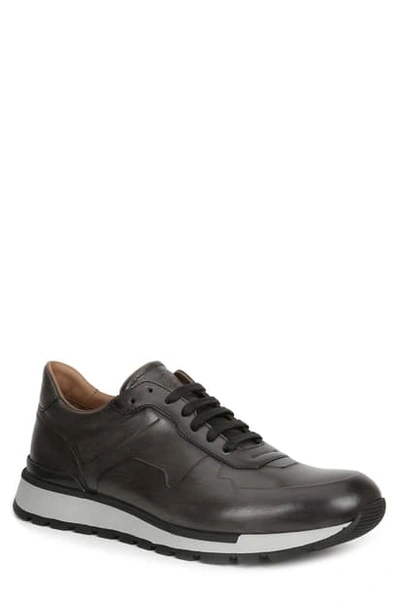 Shop Bruno Magli Davio Low Top Sneaker In Dark Grey