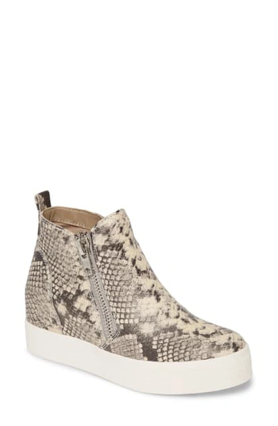 Shop Steve Madden Wedgie High Top Platform Sneaker In Natural Snake Print