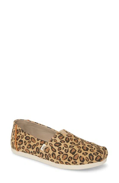 Shop Toms Alpargata Slip-on In Desert Tan Fabric