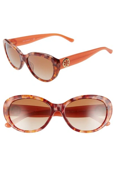 Shop Tory Burch 56mm Gradient Cat Eye Sunglasses In Cherry Tortoise/ Brown