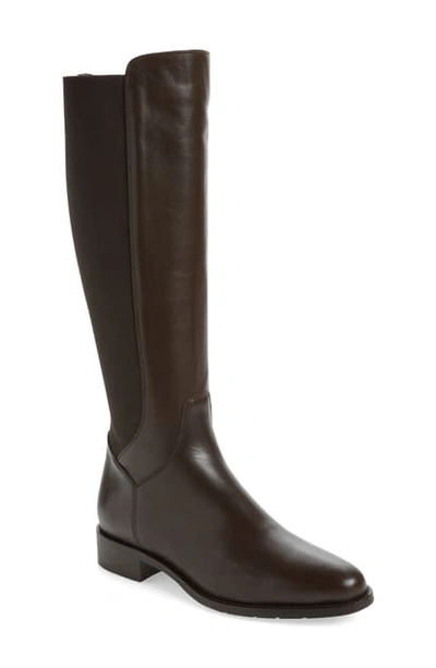 Shop Aquatalia Neda Tall Weatherproof Boot In Espresso Calf/ Elastic