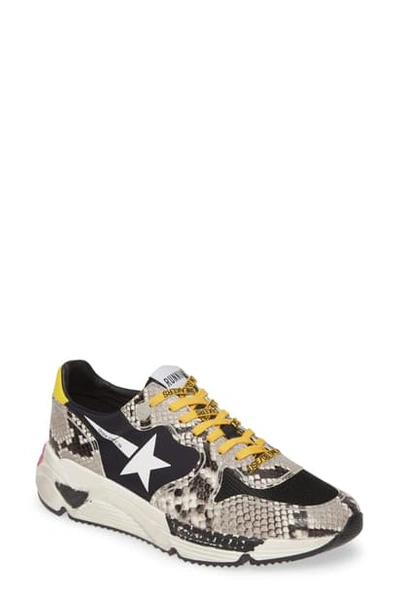 Shop Golden Goose Running Star Sneaker In Snake Print/ White