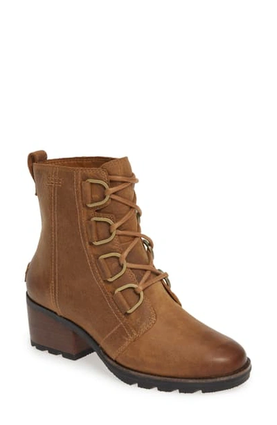 Shop Sorel Cate Waterproof Lace-up Boot In Elk Leather