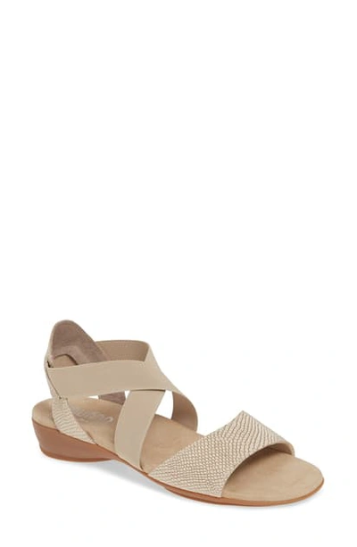 Shop Munro Caley Wedge Sandal In Champagne Leather