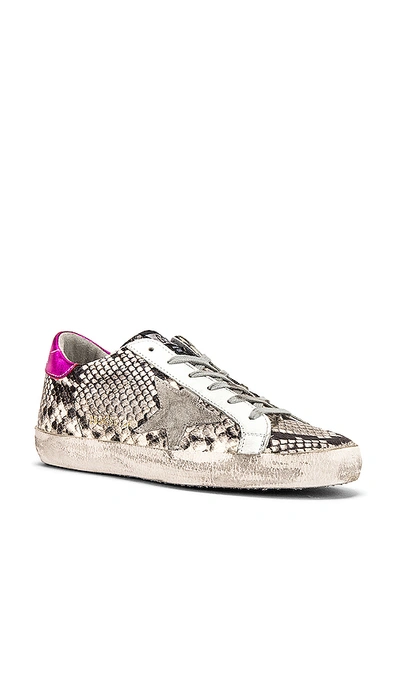 Shop Golden Goose Superstar Trainer In Natural Snake Print & Ice Star