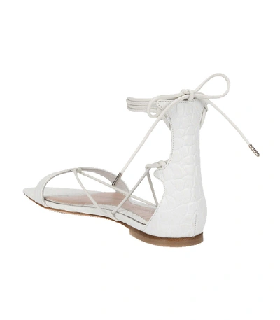 Shop Alexander Mcqueen Stamped Crocodile Ankle Wrap Sandal In Ivory