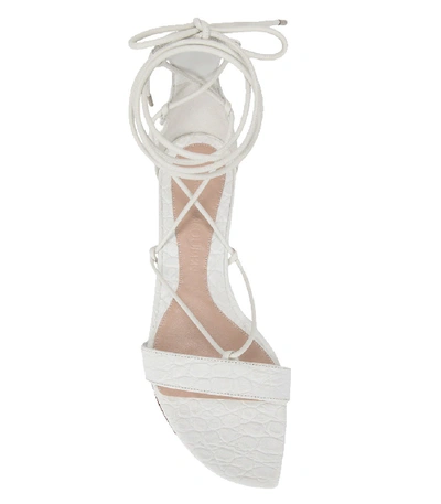 Shop Alexander Mcqueen Stamped Crocodile Ankle Wrap Sandal In Ivory