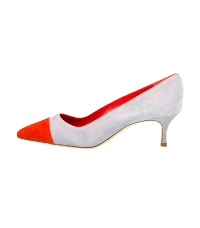 Shop Manolo Blahnik Bipunta Bi Color Suede Pump In Grey/red