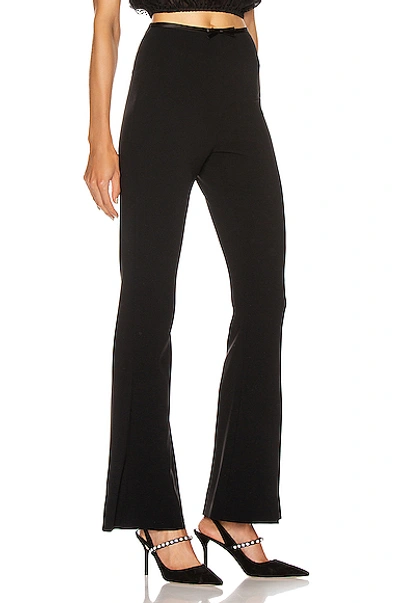 Shop Miu Miu Flare Pant In Black