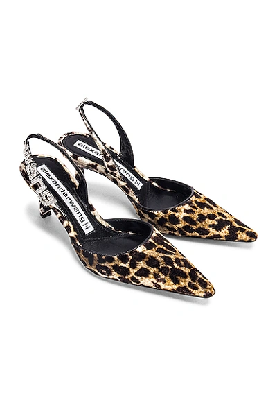 Shop Alexander Wang Grace Leopard Velvet Heel
