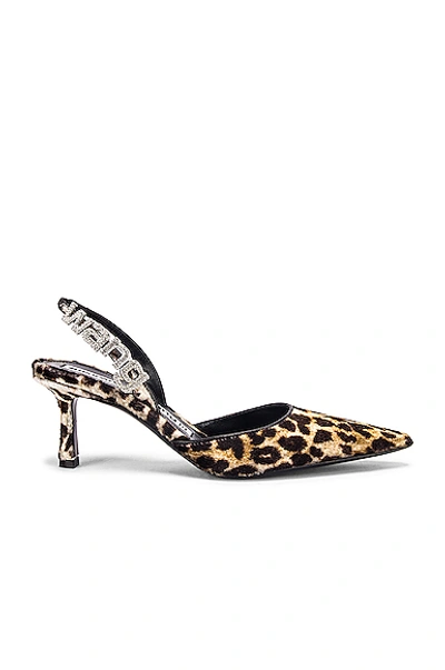 Shop Alexander Wang Grace Leopard Velvet Heel