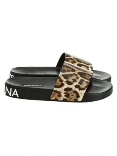 Shop Dolce & Gabbana Leopard Leather Pool Slide Sandals