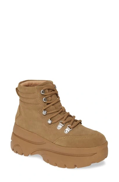 Shop Steve Madden Husky Lace-up Boot In Tan Suede