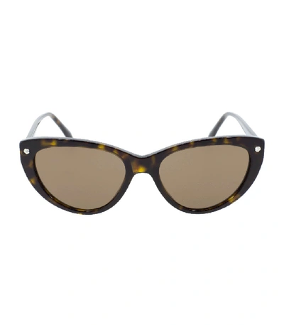 Shop Alexander Mcqueen Cat Eye Sunglasses In Brown