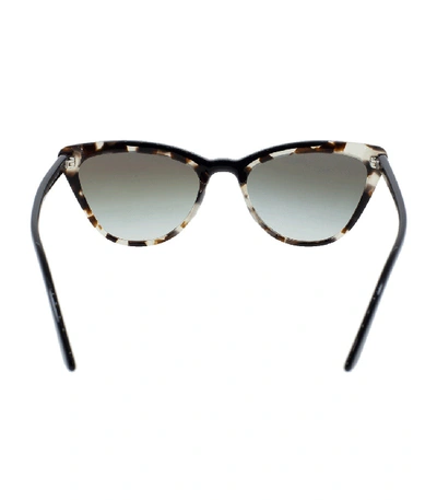 Shop Prada Catwalk Spotted Sunglass In Brown