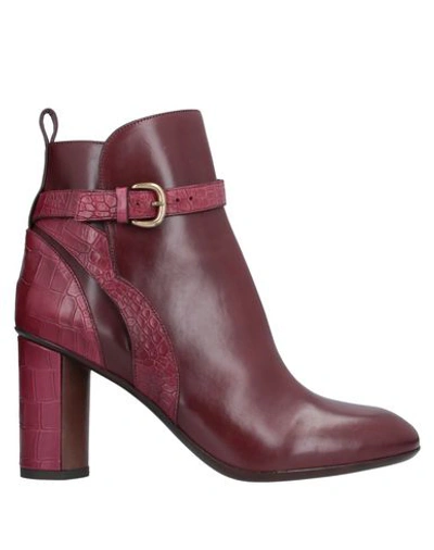 Shop Sartore Ankle Boot In Maroon