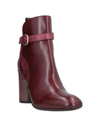 Shop Sartore Ankle Boot In Maroon