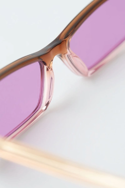 Shop Acne Studios Agar Brown/purple In Cat Eye Sunglasses