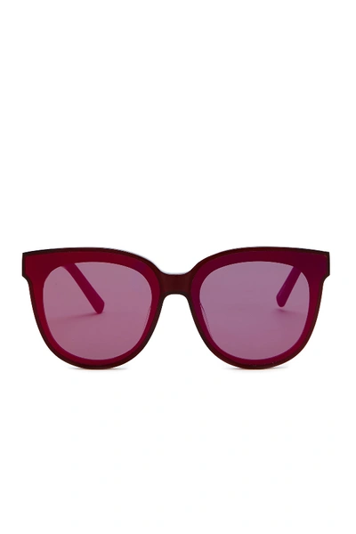 Shop Aqs Iris 65mm Oversized Cat Eye Sunglasses In Maroon