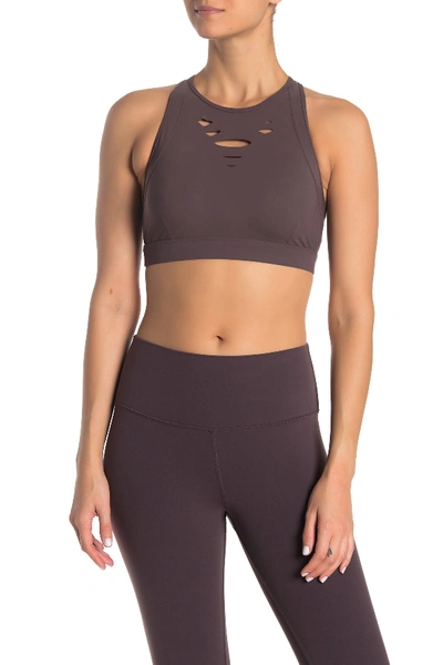 Alo Yoga Ripped Warrior Sports Bra In Raisin