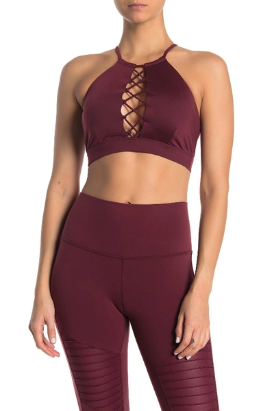 Shop Alo Yoga Starlet Lace-up Bra In Black Cherry