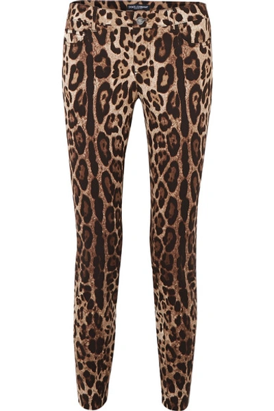 Shop Dolce & Gabbana Cropped Leopard-print Skinny Jeans In Brown