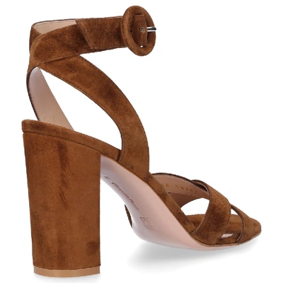 Shop Gianvito Rossi Sandals Frida  Suede Brown