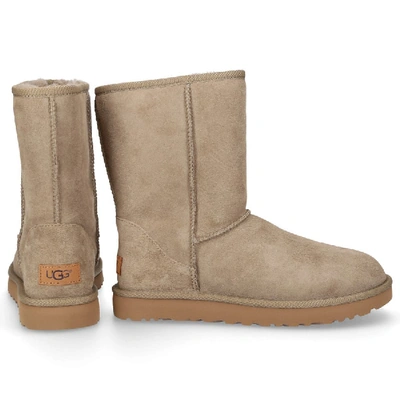 Shop Ugg Ankle Boots Classic Short Ii Lambskin  Olive