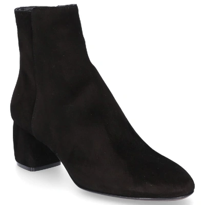 Shop Agl Attilio Giusti Leombruni Ankle Boots D140530 Suede Black