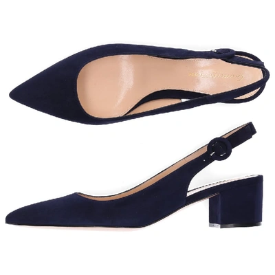 Shop Gianvito Rossi Pumps Amee  Suede Dark Blue