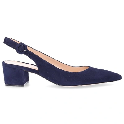 Shop Gianvito Rossi Pumps Amee  Suede Dark Blue