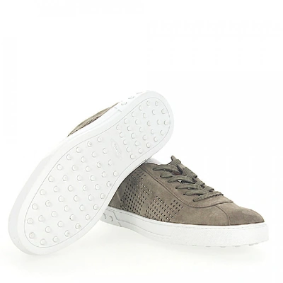 Shop Tod's Sneakers Beige Y0x990