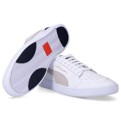 Shop Puma Low-top Sneakers Ralph Sampson Low Calfskin Logo White