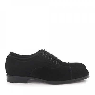 Shop Henderson Business Shoes Oxford 56305 Suede In Black