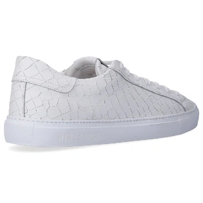 Shop Hide & Jack Low-top Sneakers Tuscany  Calfskin In White