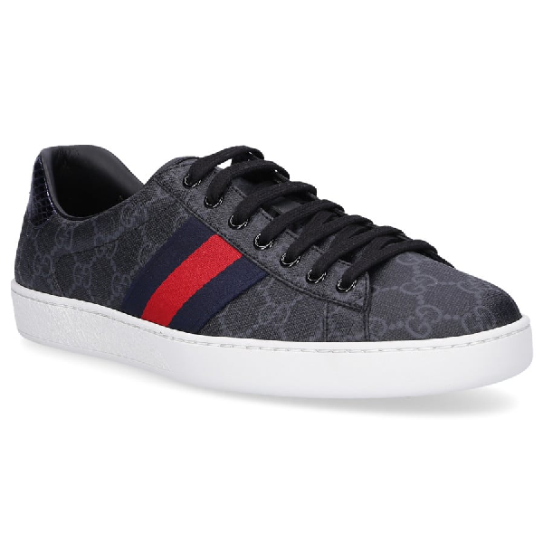 gucci ace black tiger