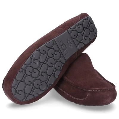 Shop Ugg Slippers Ascot  Suede Logo Brown