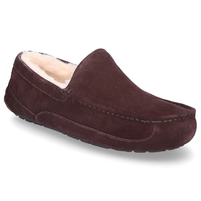 Shop Ugg Slippers Ascot  Suede Logo Brown