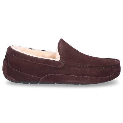 Shop Ugg Slippers Ascot  Suede Logo Brown