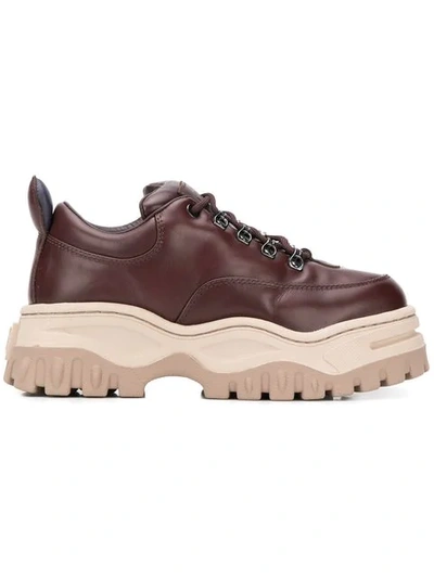 Shop Eytys Angel Sneakers In Brown