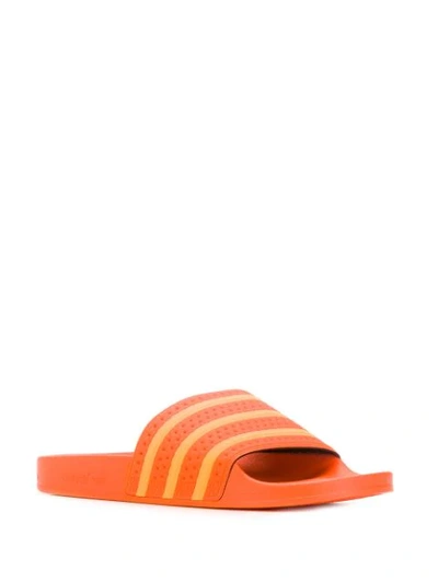 Shop Adidas Originals Stripe Detail Slides In Orange