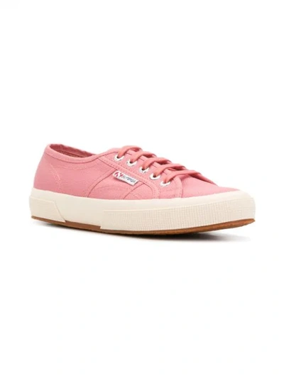 Shop Superga Lace-up Sneakers In Pink