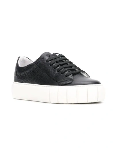Shop Primury Low Top Sneakers In Black