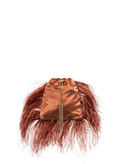 Shop Rosantica Mademoiselle Feather-trimmed Pouch Bag In Brown