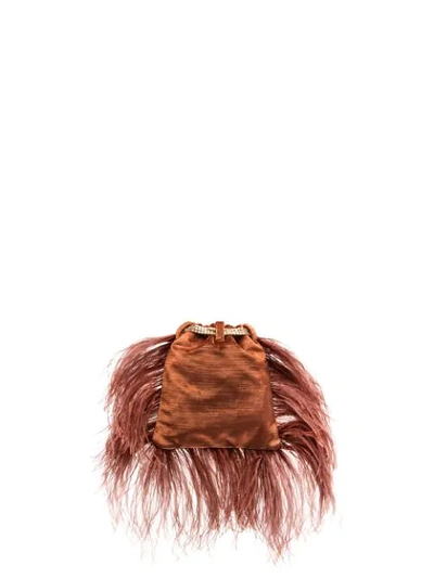 Shop Rosantica Mademoiselle Feather-trimmed Pouch Bag In Brown