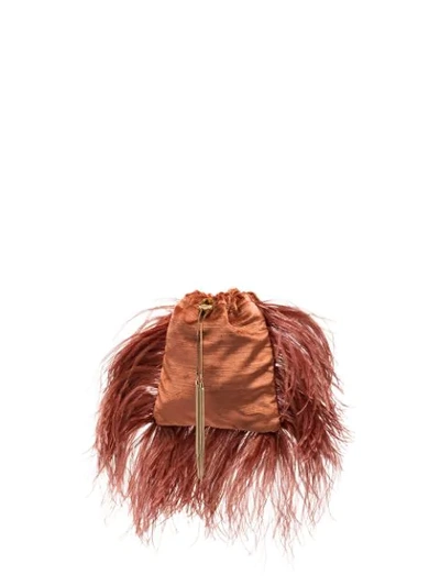 Shop Rosantica Mademoiselle Feather-trimmed Pouch Bag In Brown