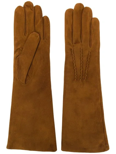 Shop Gala Gloves Long Gloves In Brown