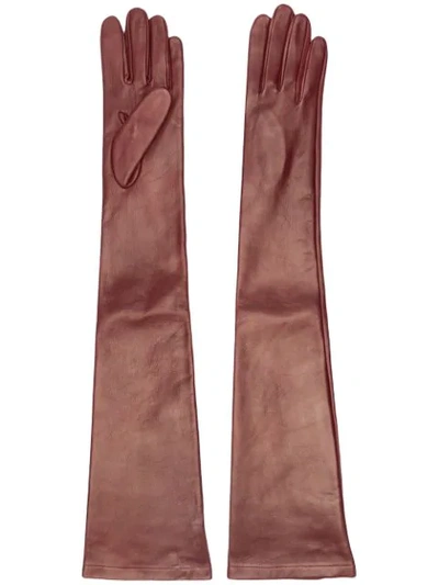 Shop N°21 Long Leather Gloves In 4522