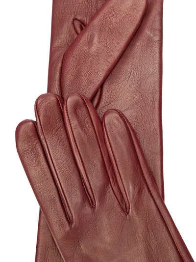Shop N°21 Long Leather Gloves In 4522